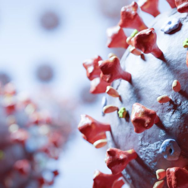 Cases of COVID-19 surpassing 87k